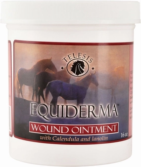 Equiderma Wound Ointment tuff dog toys durable toys for dogs chew tested toys hard chew toy strong plush