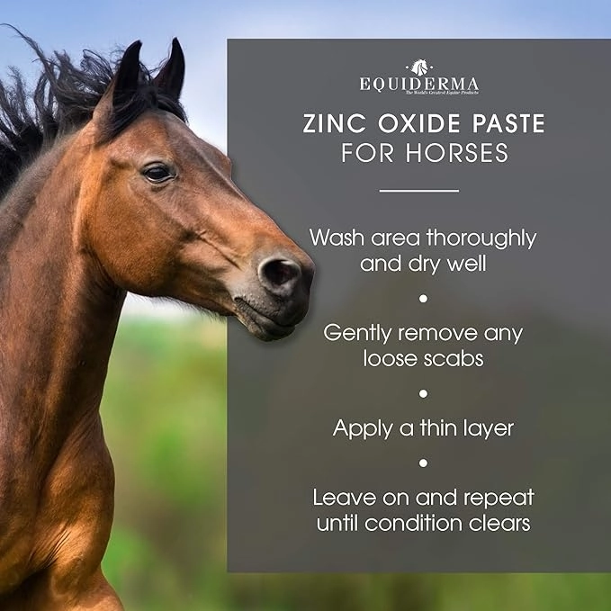 Equiderma Zinc Oxide Paste, 16 oz