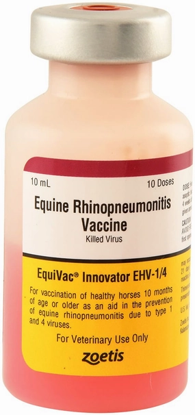 Equivac EHV-1/4 Vaccine for Horses tuff dog toys durable toys for dogs chew tested toys hard chew toy strong plush