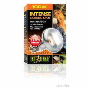 Exo Terra Intense Basking Spot 100W hamster cage guinea pig supplies small animal accessories rabbit water bottle rat tunnel