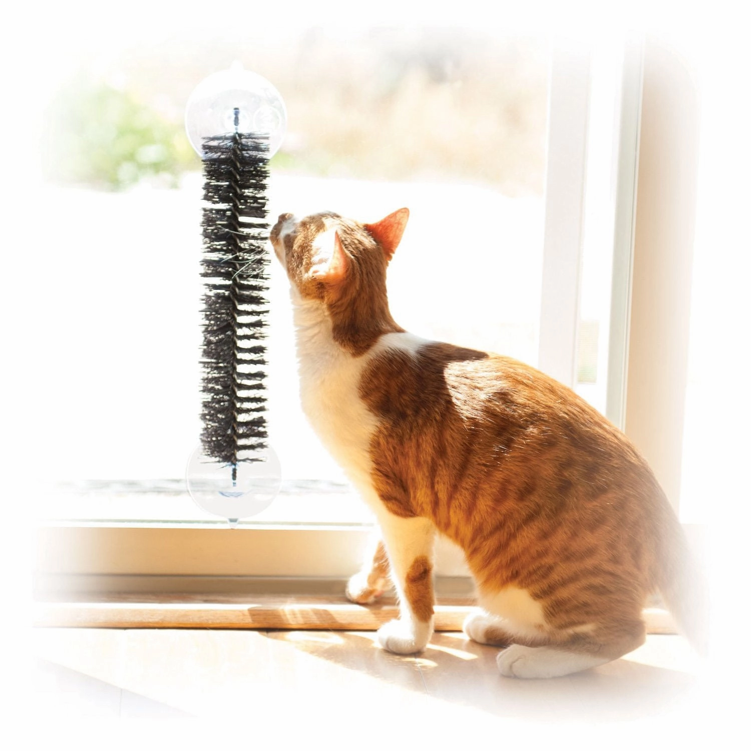 EZ Mount Self-Grooming Brush cat beds cat scratching post cat shampoo cat tunnel cat brush