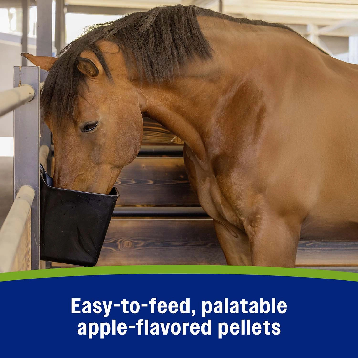 Farnam Apple Elite Electrolyte Pellets for Horses, 7.5 lbs, 40 Day Supply