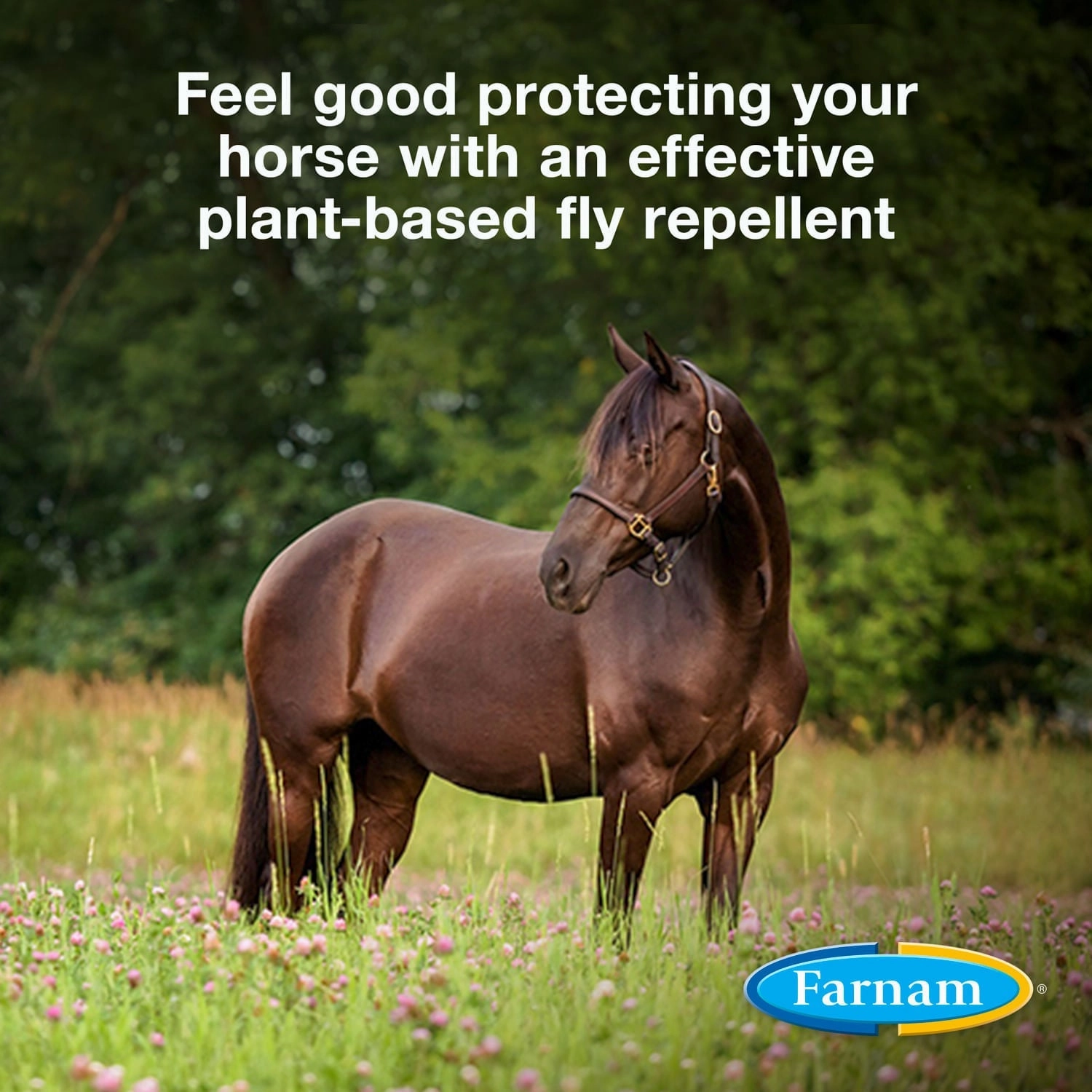 Farnam Equisect Water-Based Botanical Fly Repellent with Herbal Scent for Horses, Dogs and Cats