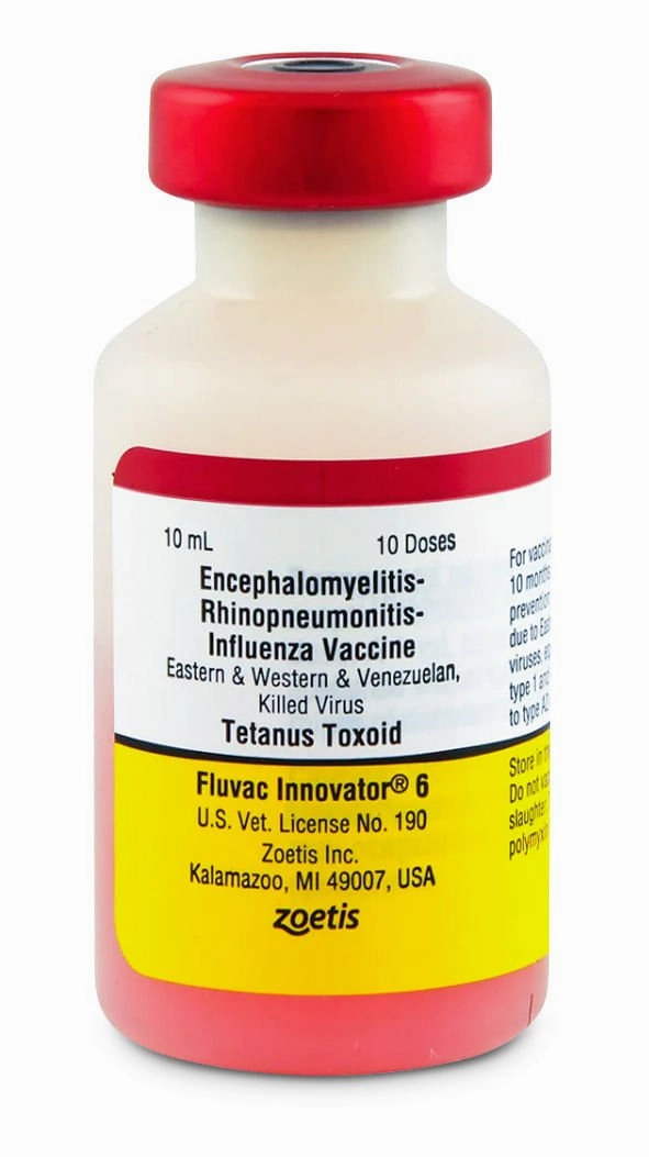 Fluvac Innovator 6 Horse Vaccine