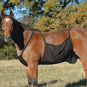 Fly Sheet Belly Guard poultry remedies poultry supplement goat vitamins sheep probiotics animal health boost
