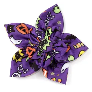 Fright Night Dog Collar Flower treats for dogs dog biscuits dog reward treats organic dog snacks natural dog biscuits