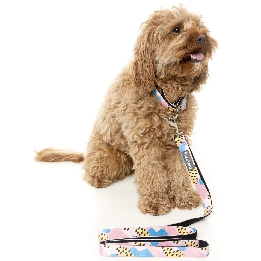 FuzzYard Dog Collar (Jiggy)