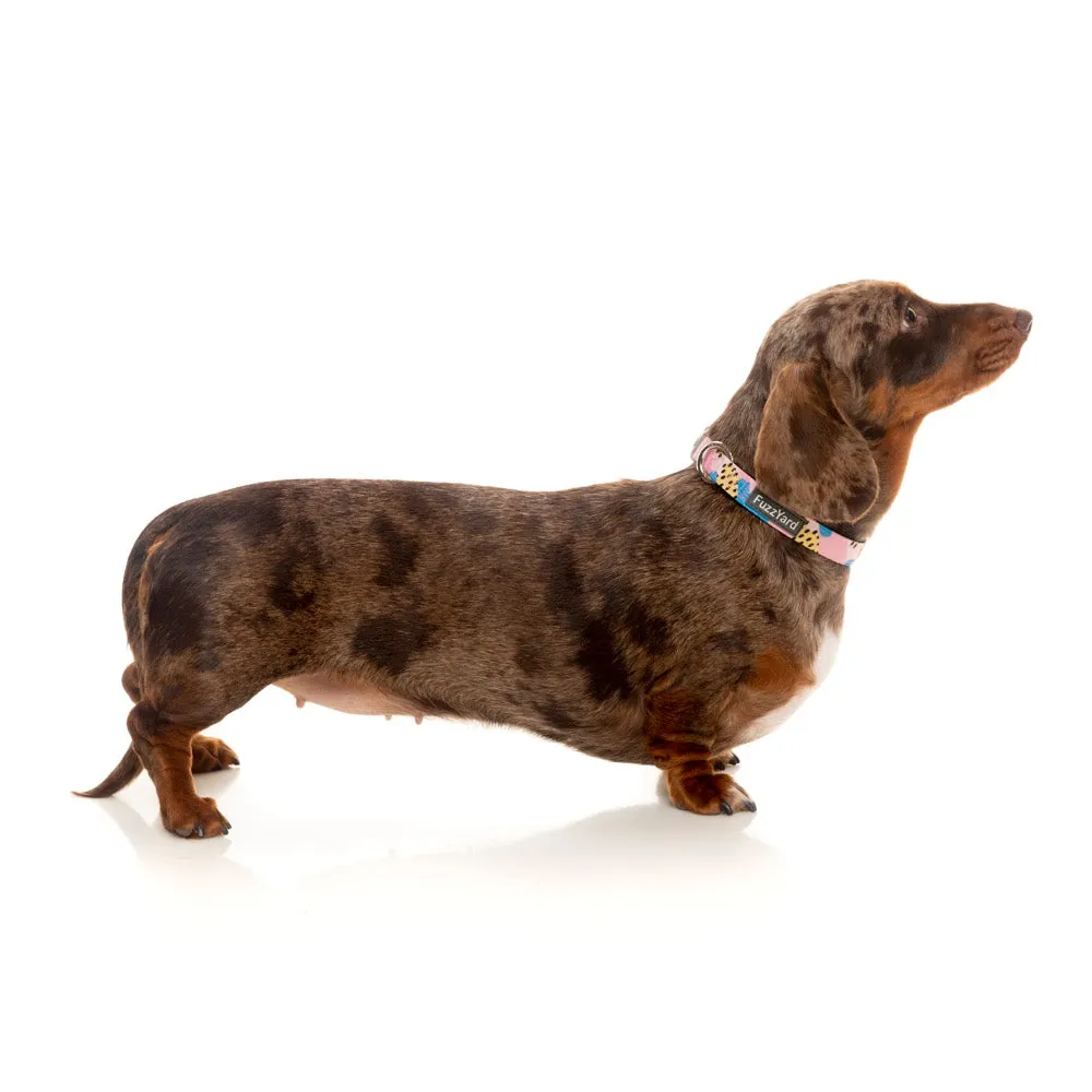 FuzzYard Dog Collar (Jiggy)
