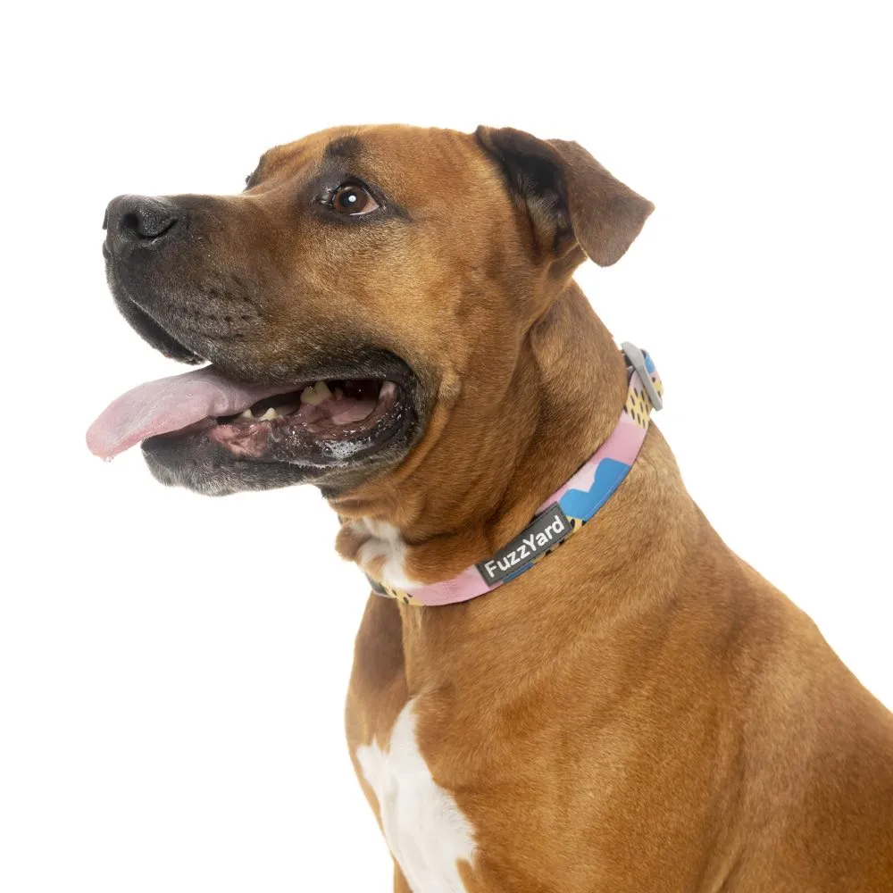 FuzzYard Dog Collar (Jiggy)
