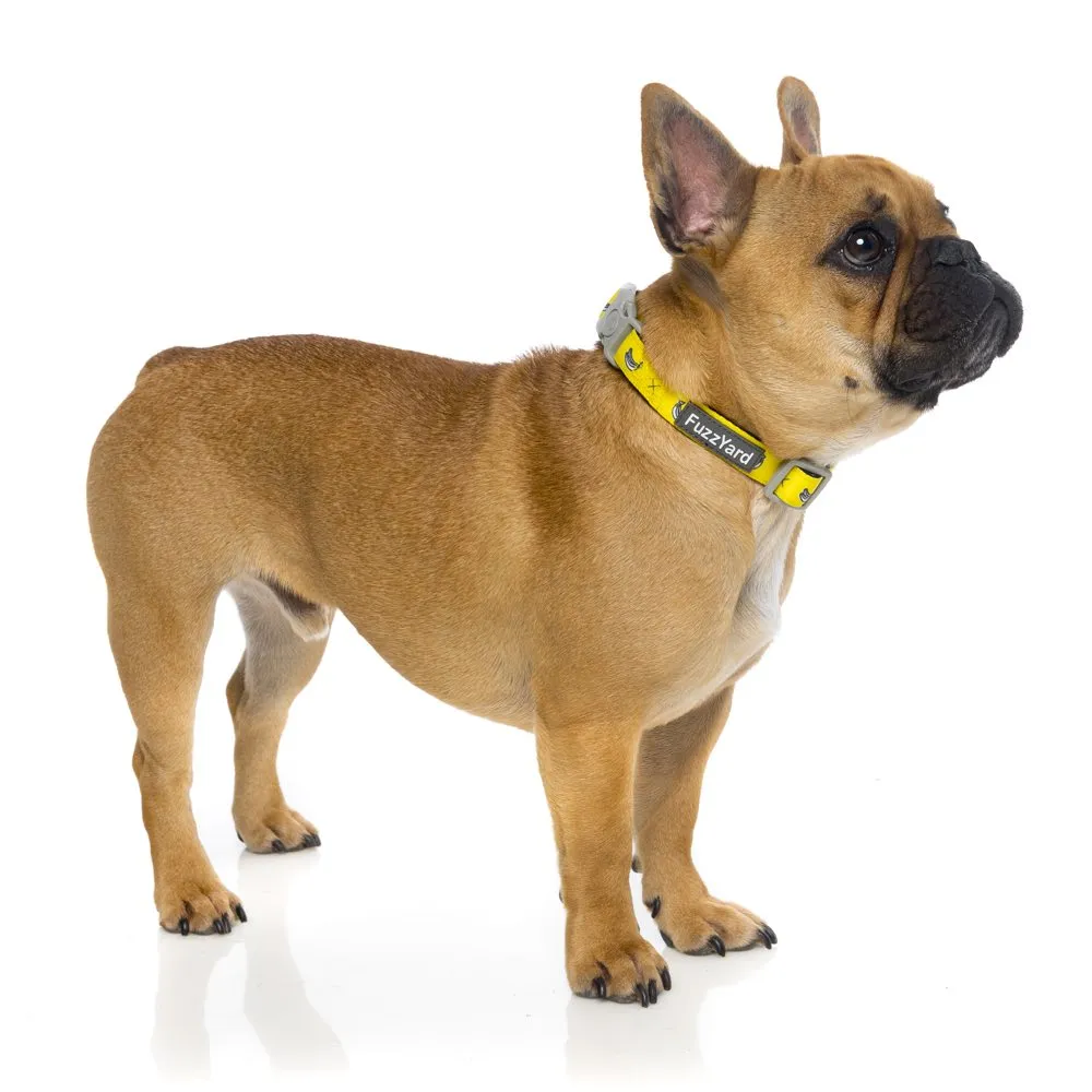 FuzzYard Dog Collar (Monkey Mania)
