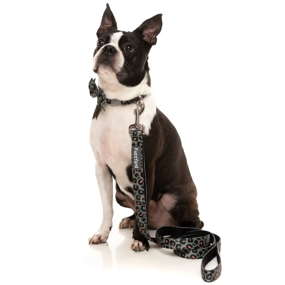 FuzzYard Dog Leash (Savanna)