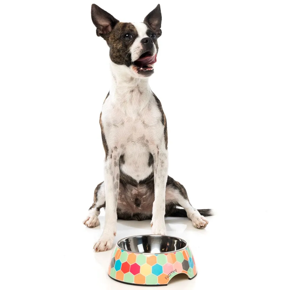 FuzzYard Easy Feeder Dog Bowl (The Hive)