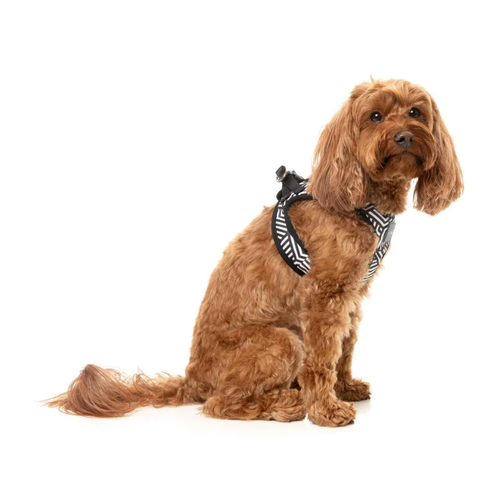 FuzzYard Fitzroy Step-In Dog Harness