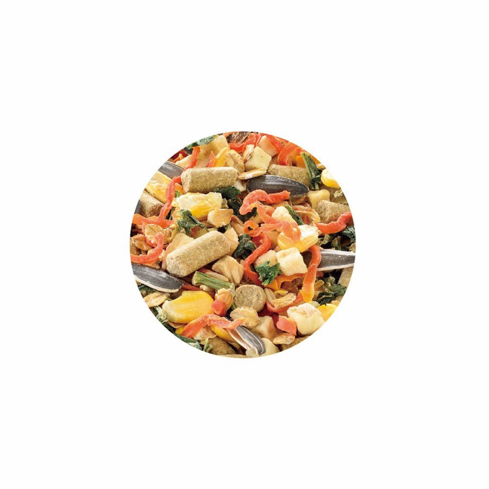 Gex Saishoku Kenbi 7 Ingredient Golden Hamster Mix Food 220g