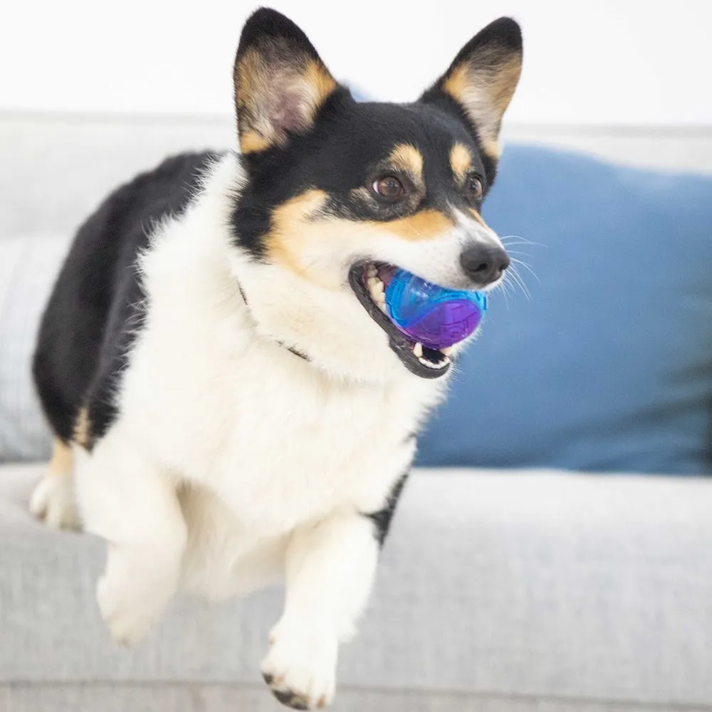 GiGwi Squeaky Ball Dog Toy (Purple/Blue)