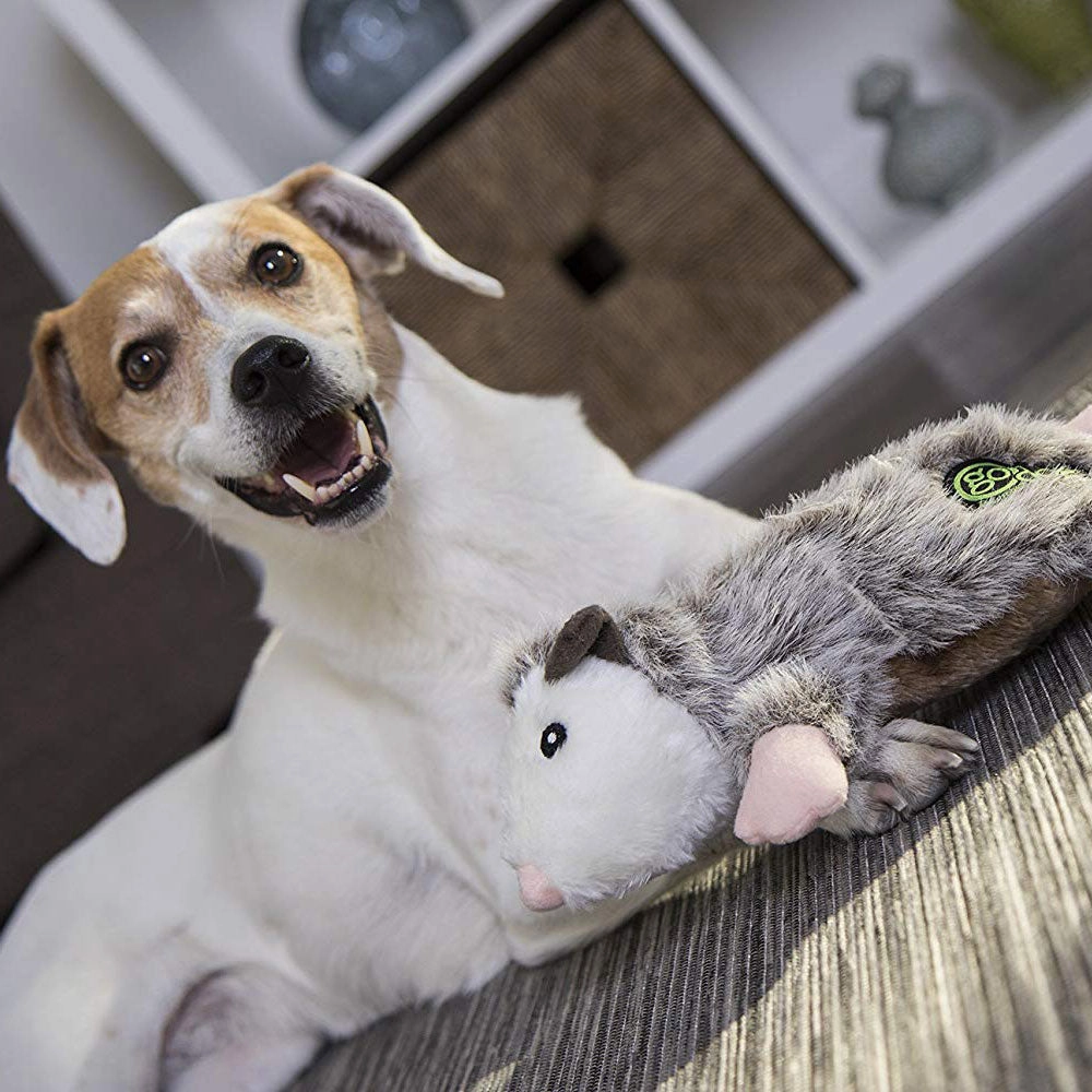 GoDog Flatz Penelope the Opossum