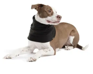 Gold Paw Snood Black/Black - dog accessories dog collar dog leash dog bowtie dog backpack