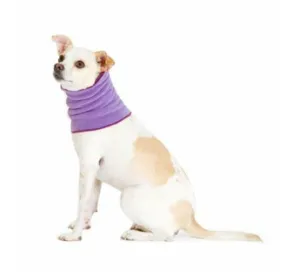 Gold Paw Snood Red Lavender/Eggplant - dog accessories dog collar dog leash dog bowtie dog backpack