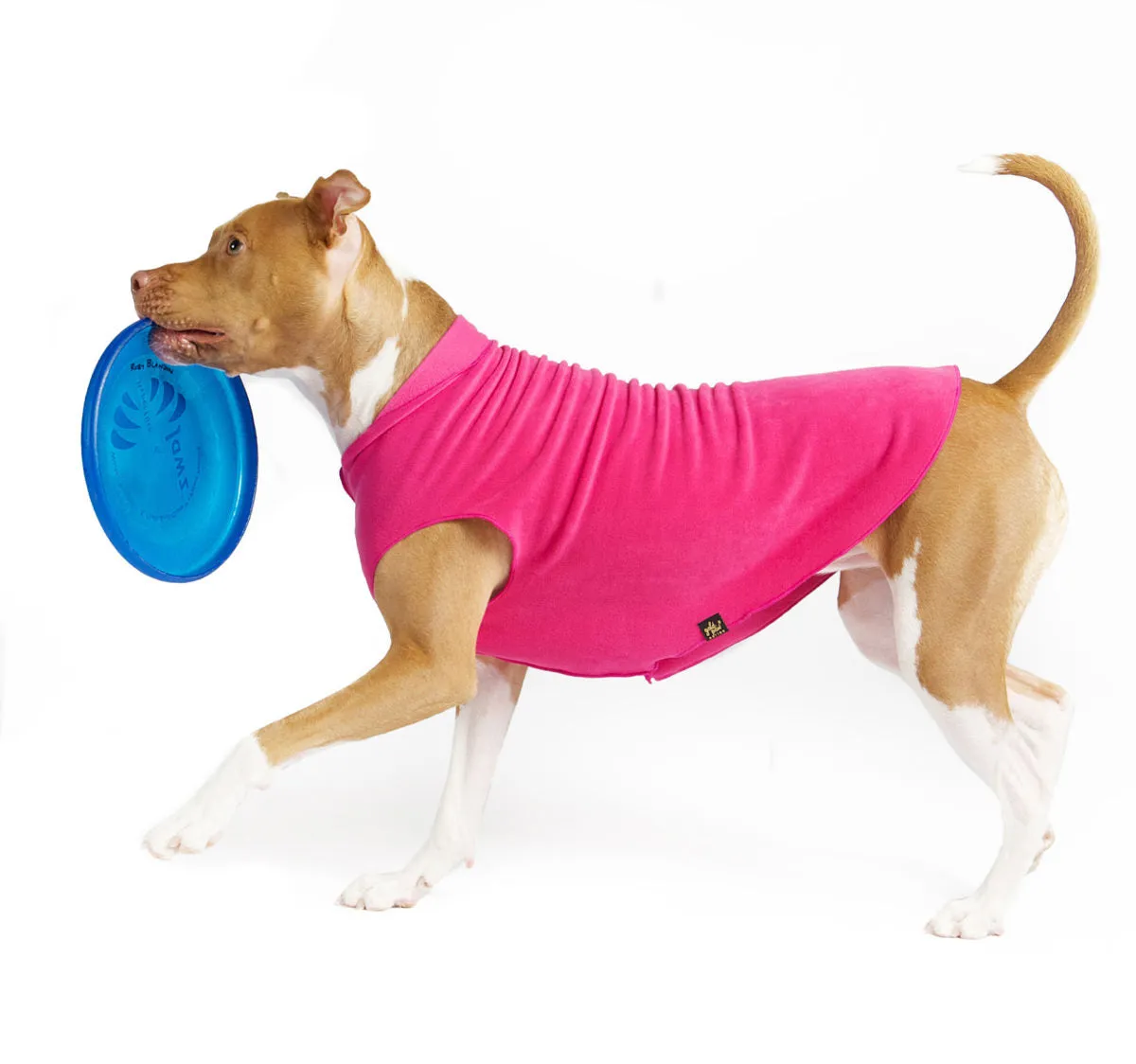Gold Paw Stretch Fleece - Fuchsia dog accessories dog collar dog leash dog bowtie dog backpack
