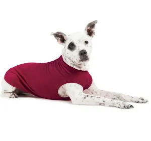 Gold Paw Stretch Fleece - Garnet dog accessories dog collar dog leash dog bowtie dog backpack