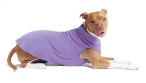 Gold Paw Stretch Fleece - Lavender dog accessories dog collar dog leash dog bowtie dog backpack