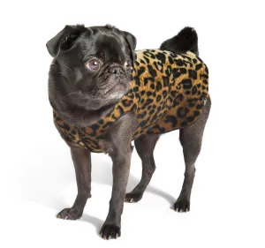 Gold Paw Stretch Fleece - Leopard dog accessories dog collar dog leash dog bowtie dog backpack