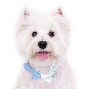 Hey Cuzzies Bow Dog Necklace (Blue) grain free dog food natural dog biscuits high protein dog food dog food pack dog meat sticks