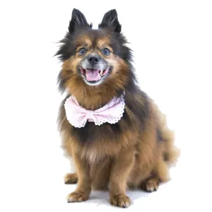 Hey Cuzzies Convertible Bandana For Dogs (Perry) puppy food dog jerky treats dog dental treats dog chicken strips organic dog food