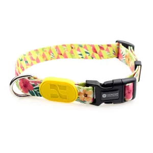 HiDREAM Profusion Adjustable Dog Collar (Flower) dog harness dog training collar dog safety vest dog seatbelt dog ID tag