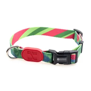 HiDREAM Profusion Adjustable Dog Collar (Watermelon) grain free dog food natural dog biscuits high protein dog food dog food pack dog meat sticks
