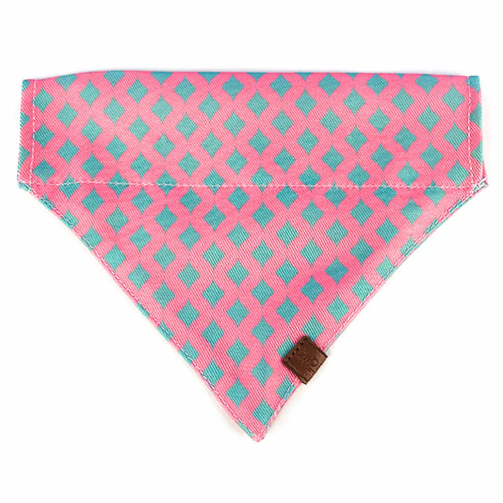 Hidream Profusion Dog & Cat Bandana (Bobby) puppy food dog jerky treats dog dental treats dog chicken strips organic dog food