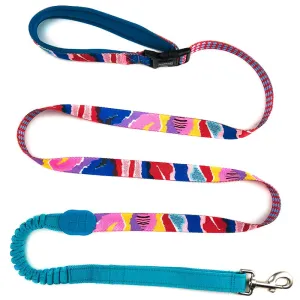 HiDREAM Profusion Multifunctional Dog Leash (Mountain Stamp) dog harness dog training collar dog safety vest dog seatbelt dog ID tag
