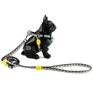 Hidream Profusion Y-Harness & Leash Set For Dogs (Totem) XS puppy food dog jerky treats dog dental treats dog chicken strips organic dog food