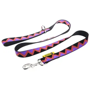HiDREAM Rainbow Upgraded Dog Leash (Black) dog bones rawhide chew sticks dog jerky bacon bone