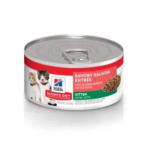 Hill's Science Diet Savory Salmon Entree Canned Kitten Food cat calming diffuser cat stress relief anxiety cat treats cat relaxing spray pet mood aid