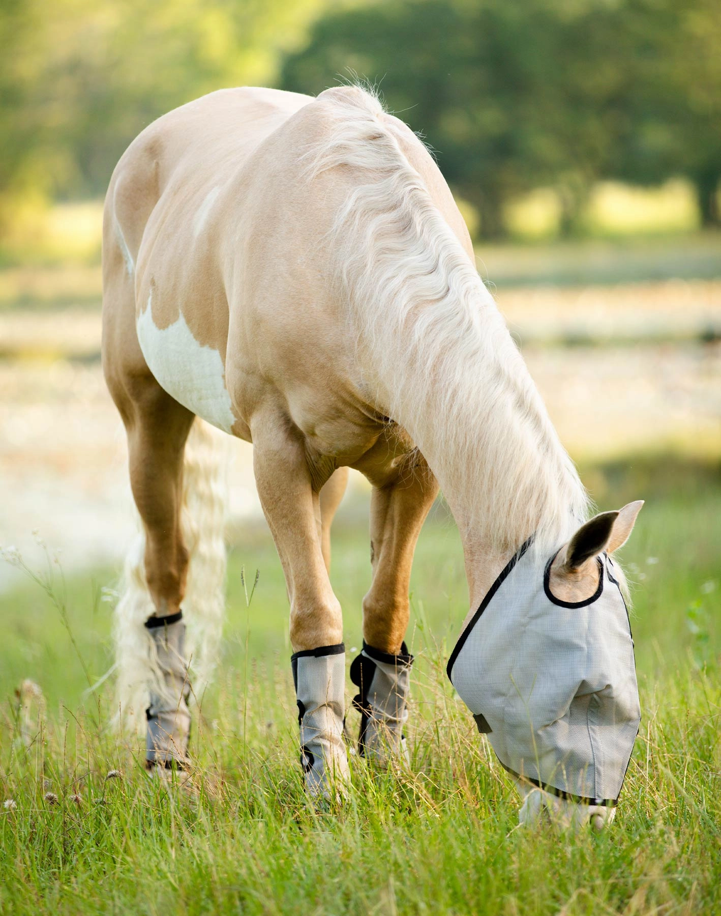Horse Sense Fly Leg Wraps, Pair