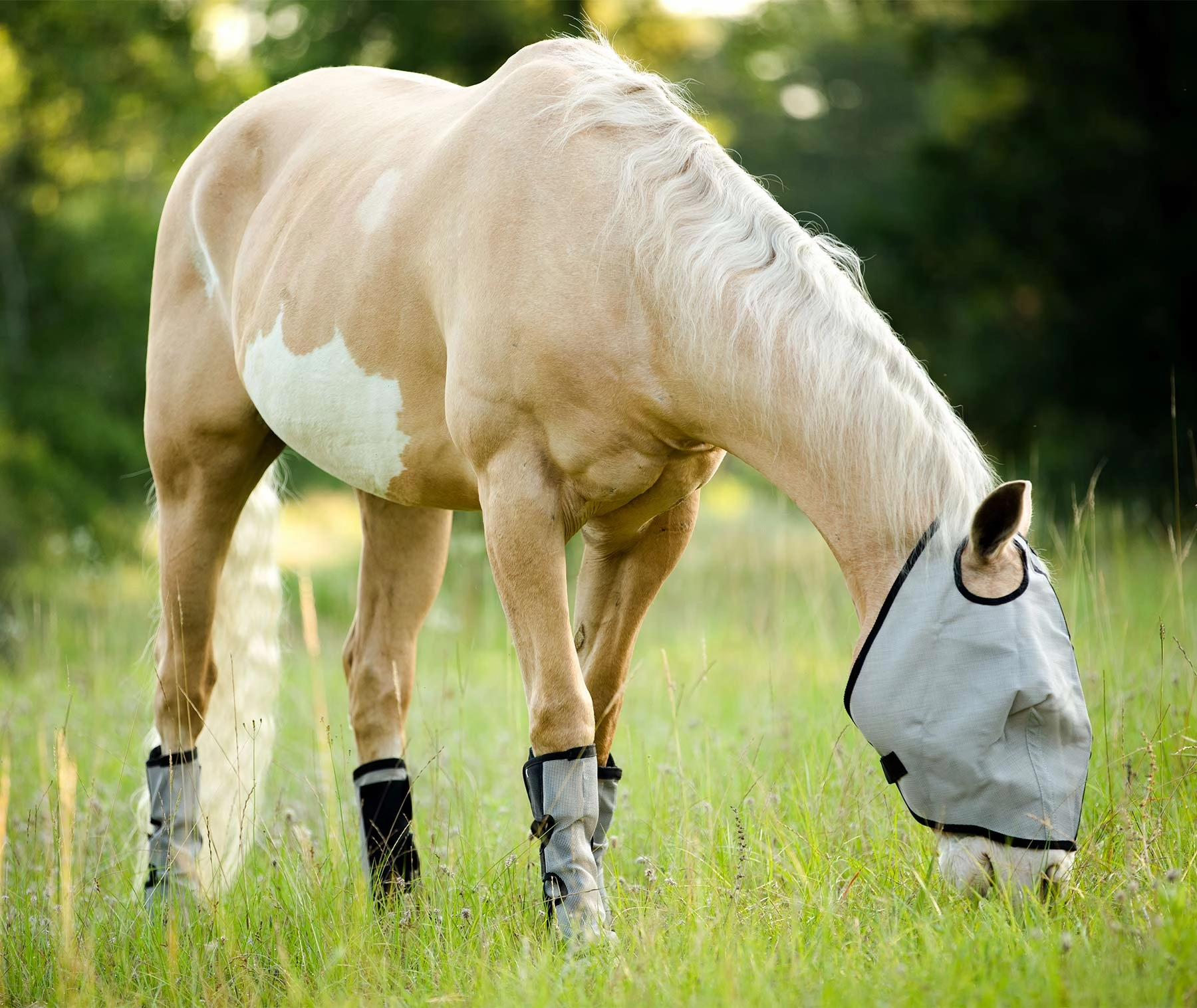 Horse Sense Fly Leg Wraps, Pair