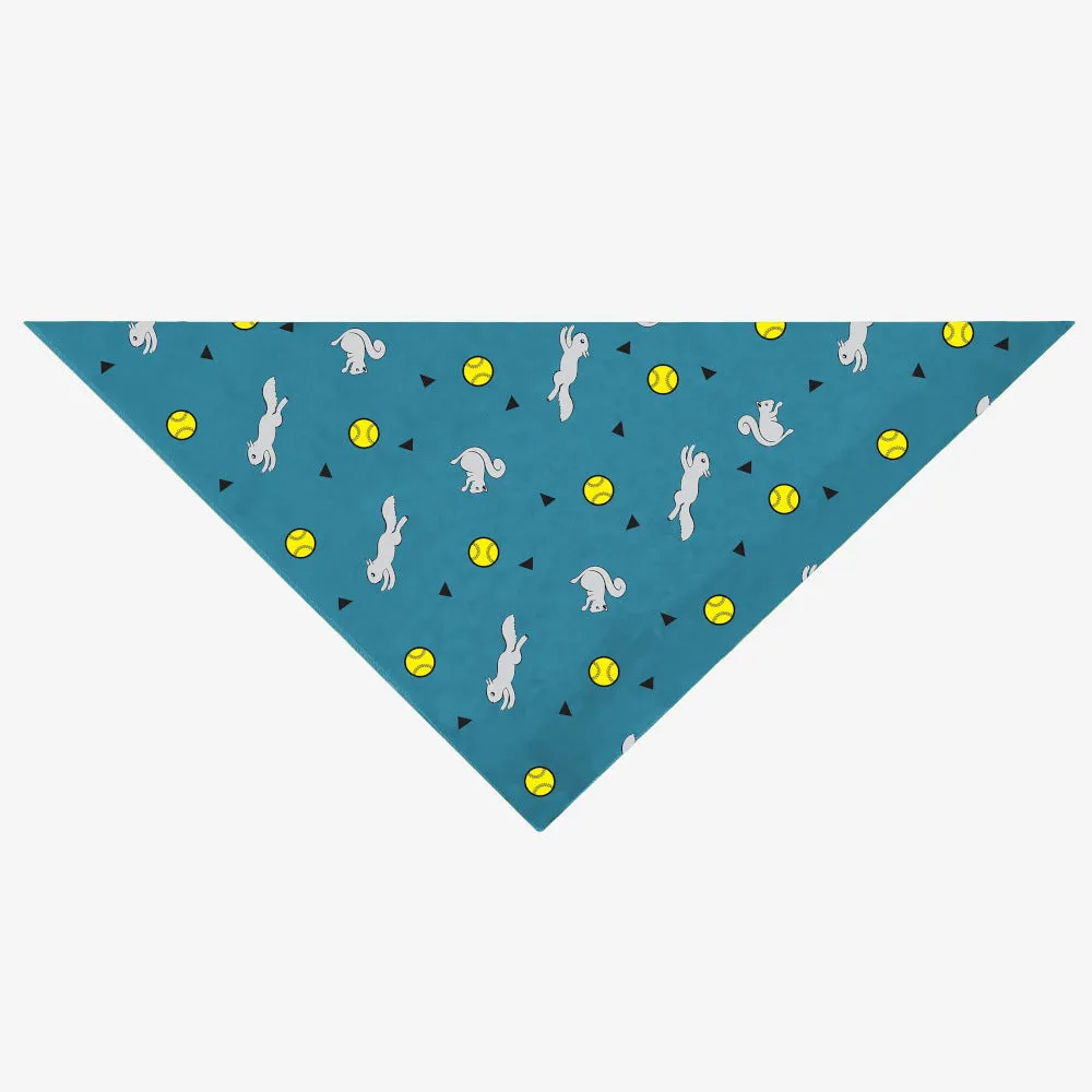 Insect Shield Ball & Squirrel Flea & Tick Bandana For Dogs (Teal) puppy food dog jerky treats dog dental treats dog chicken strips organic dog food