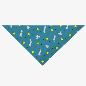 Insect Shield Ball & Squirrel Flea & Tick Bandana For Dogs (Teal) puppy food dog jerky treats dog dental treats dog chicken strips organic dog food