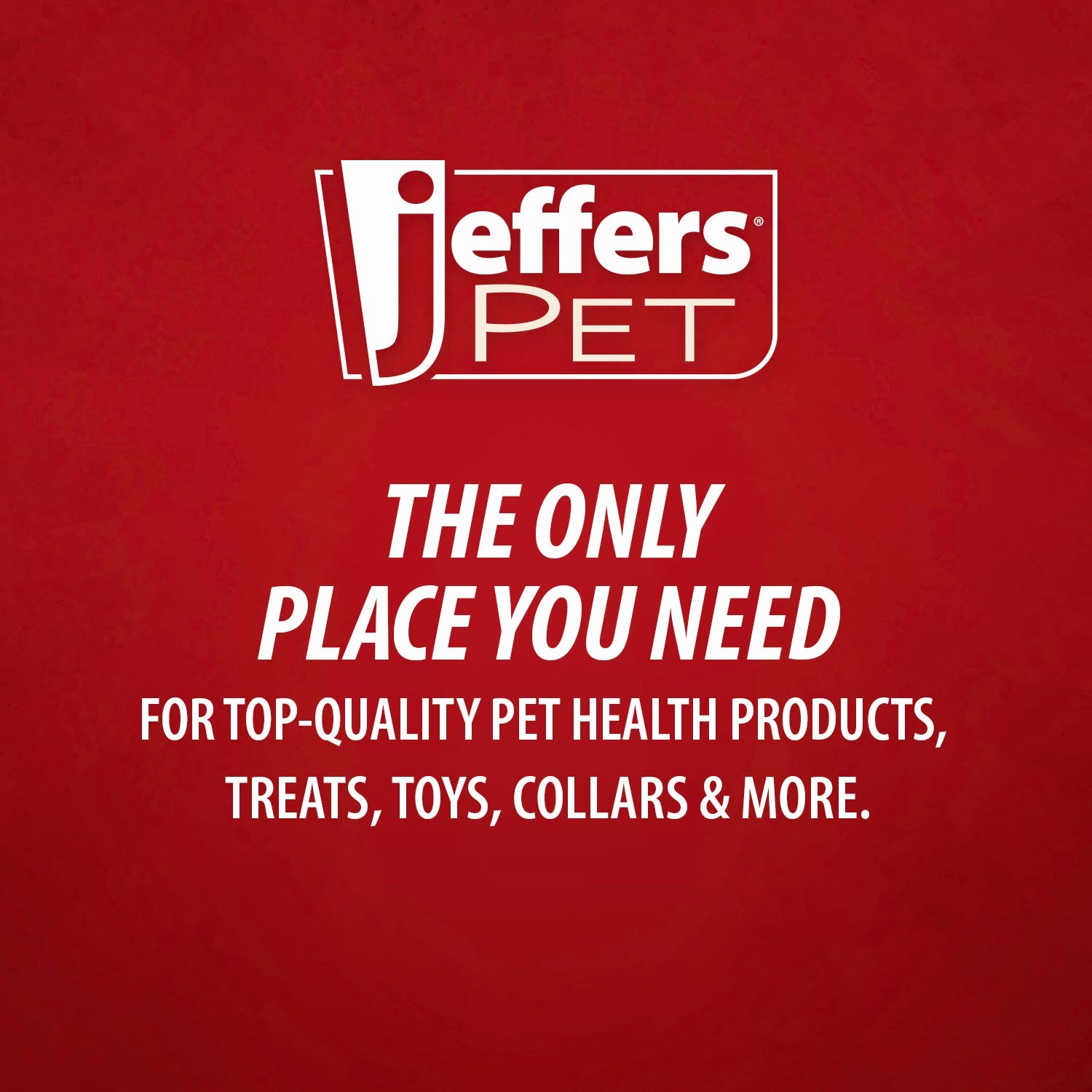 Jeffers Apricot Kernel Exfoliating & Moisturizing Pet Shampoo