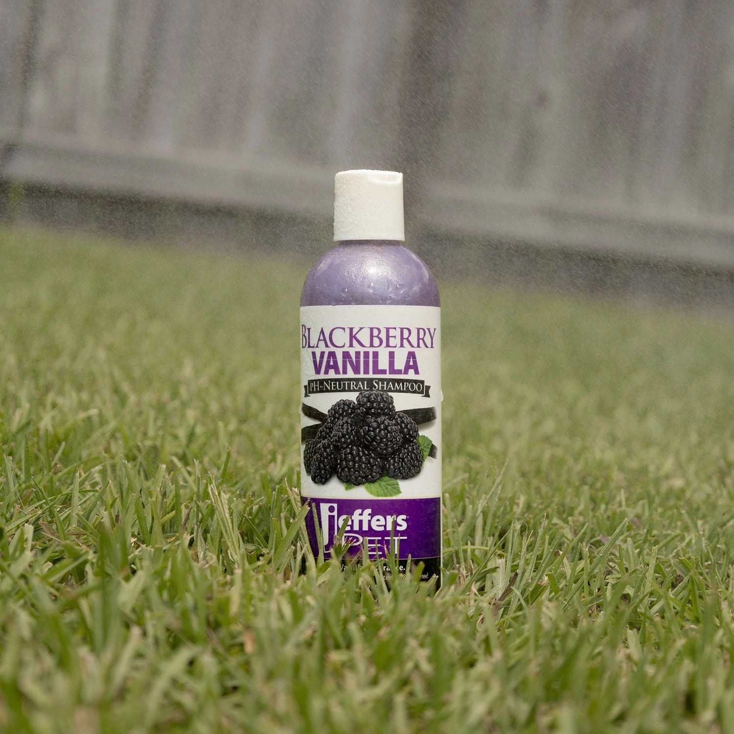 Jeffers Blackberry Vanilla pH-Neutral Pet Shampoo