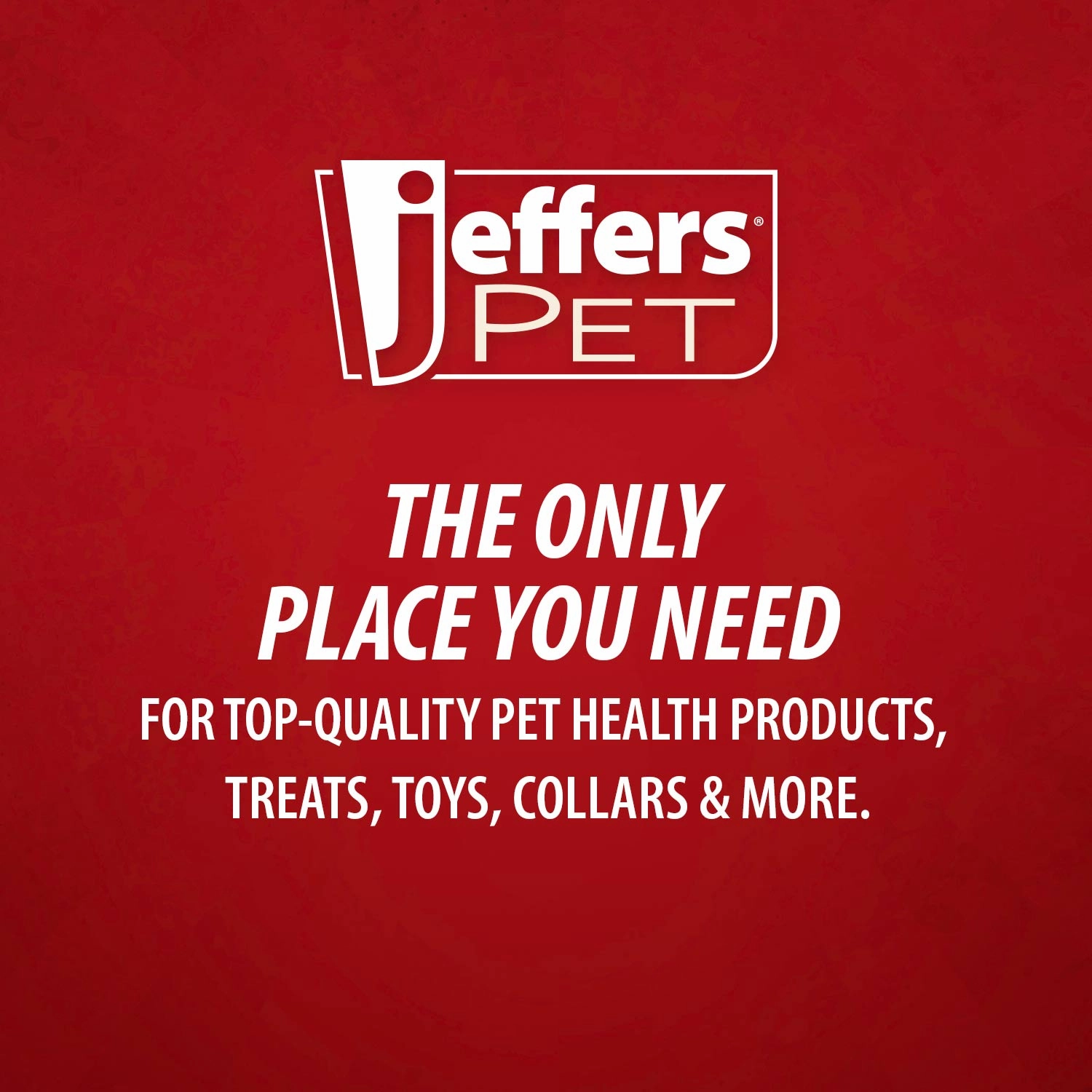 Jeffers Captivating Citrus Shampoo for Dogs and Cats