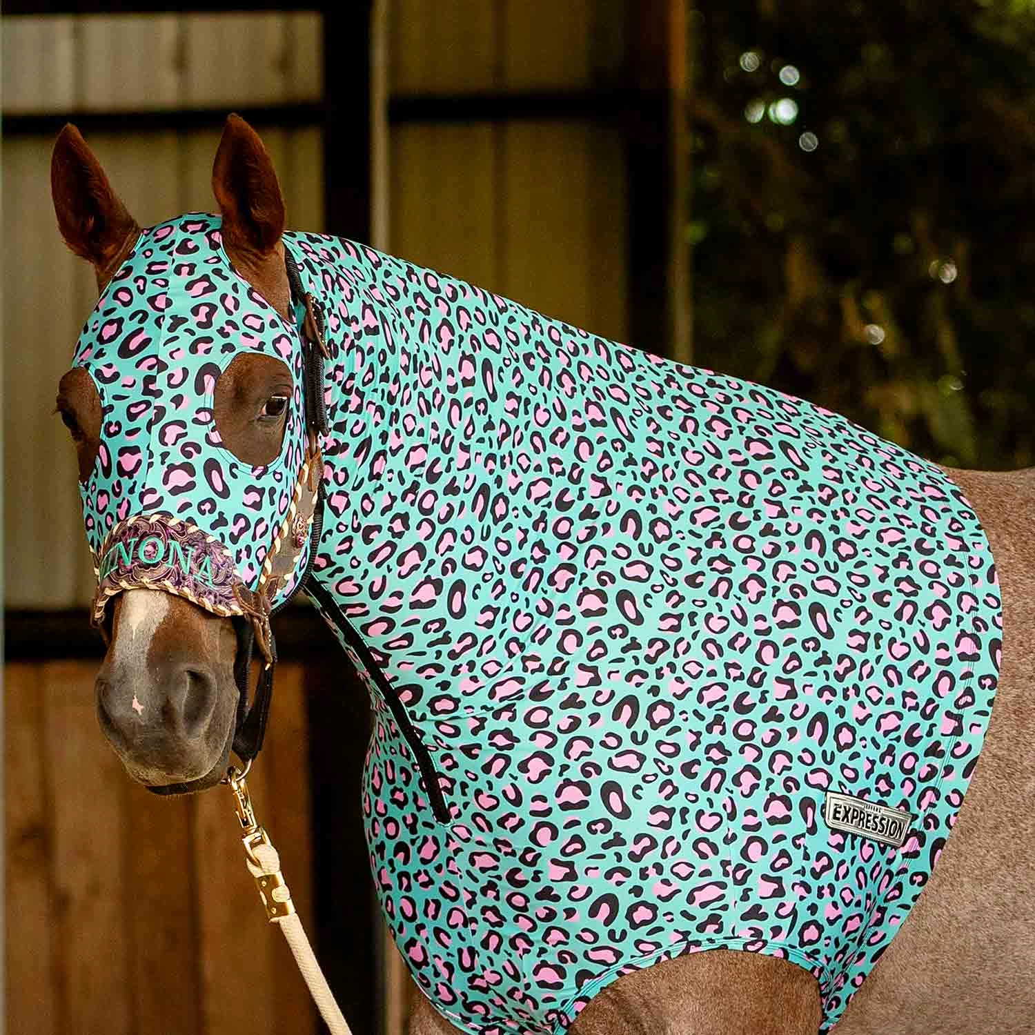 Jeffers Expression Lycra Hood for Horses