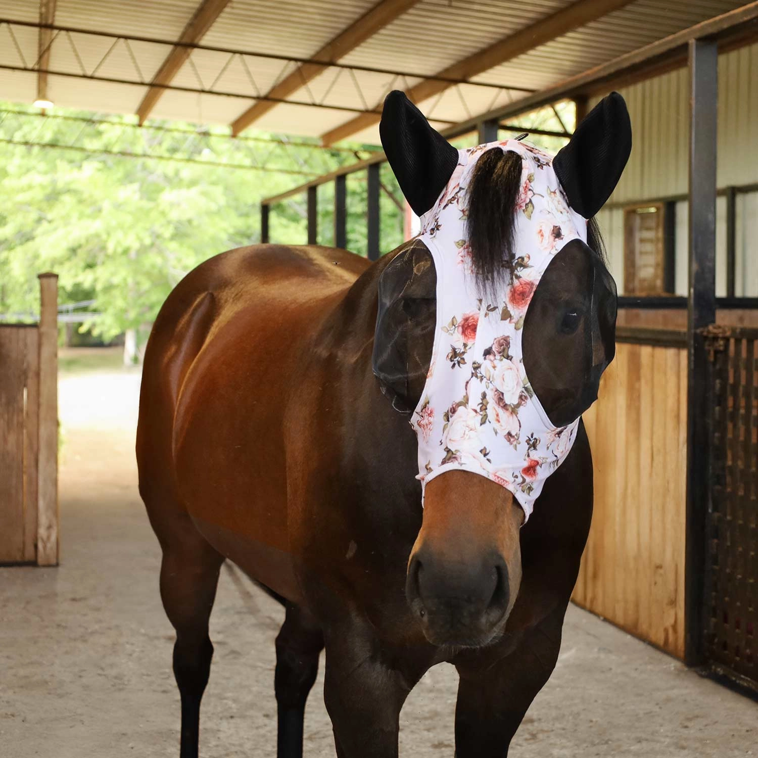 Jeffers Expression Ultimate Fly Bundle