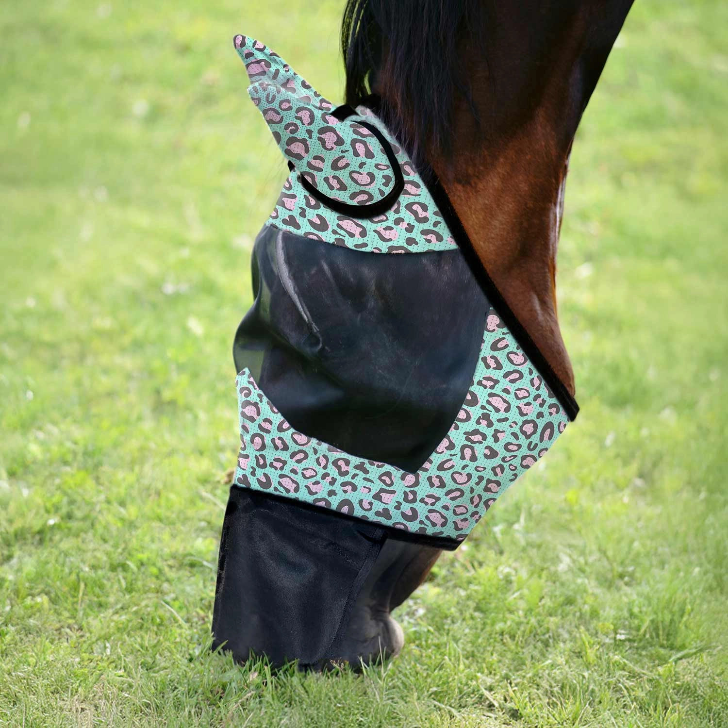 Jeffers Expression Ultimate Fly Bundle