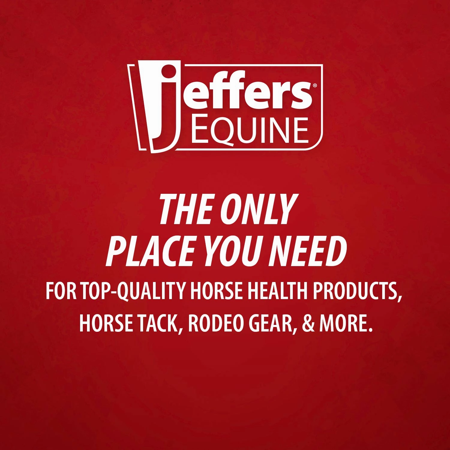 Jeffers Healthy Gut Gastric Support Liquid Supplement for Horses