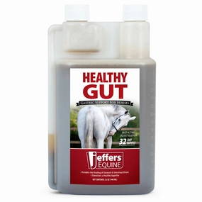 Jeffers Healthy Gut Gastric Support Liquid Supplement for Horses tuff dog toys durable toys for dogs chew tested toys hard chew toy strong plush