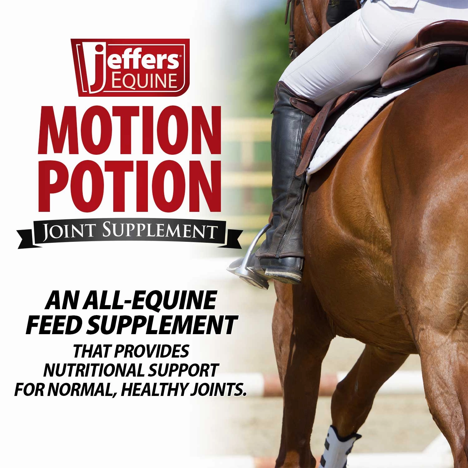 Jeffers Motion Potion Pellets Joint Supplement for Horses