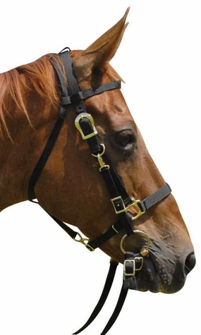 Jeffers Nylon Combination Horse Halter Bridle with Reins cat fur care cat grooming tools cat deshedding brush cat bath kit cat nail trimmer