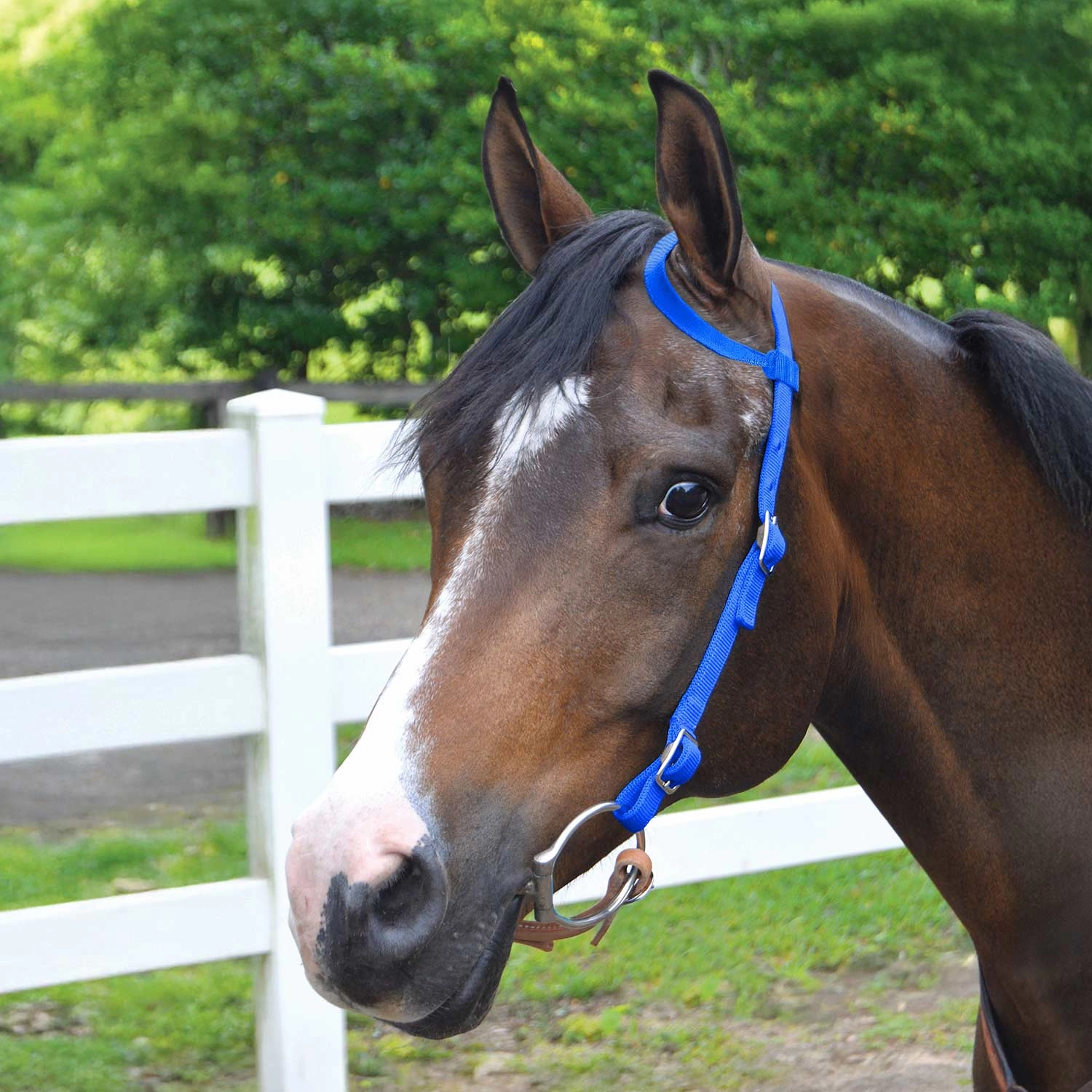 Jeffers Nylon One Ear Western Horse Headstall